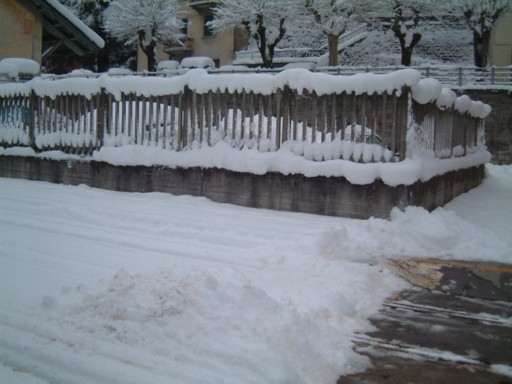  Image name: DSCF5092.JPG 
 width: 512 pixel 
 height: 384 pixel 
 Size: 49254 bytes 
 Click to enlarge 